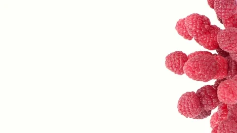 Raspberry berries on white background. Side view. Stock Footage 164476798