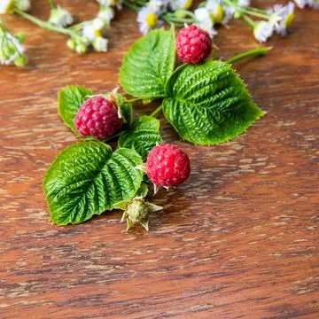 Raspberry berries with wild daisies on an old wooden table, copy space, templ Stock Photos