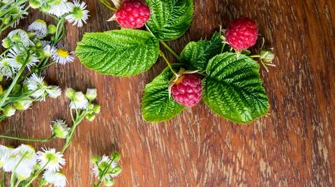 Raspberry berries with wild daisies on an old wooden table, copy space, templ Foto stock
