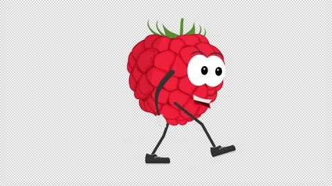 Raspberry berry. Animation of the cartoon character berry. Cartoon Stock Footage 159079980