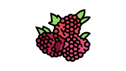 Raspberry berry color icon animation Stock Footage 225065623