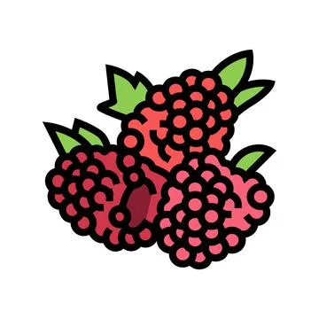Raspberry berry color icon vector illustration Stock Illustration