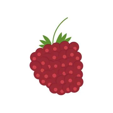 Raspberry berry in flat style on a white background Stock Illustration