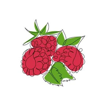 Raspberry berry fruit. Continuous one line color vector illustration. Stock Illustration