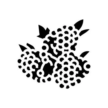 Raspberry berry glyph icon vector illustration イラスト素材