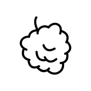 Raspberry berry icon vector. Isolated contour symbol illustration Illustrazione stock