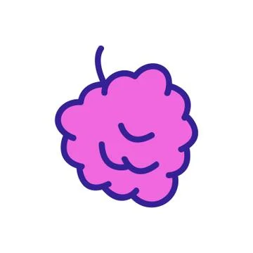 Raspberry berry icon vector. Isolated contour symbol illustration Stock Illustration