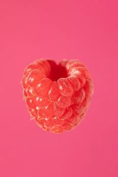 Raspberry. Berry isolated on pink background. vertically. Stock Photos