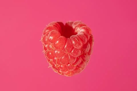 Raspberry. Berry isolated on pink background. Horizontally. Stock Photos