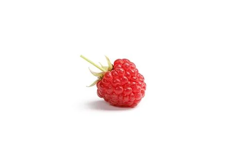 Raspberry berry isolated on white background. One Raspberry with clipping pat Stock Photos