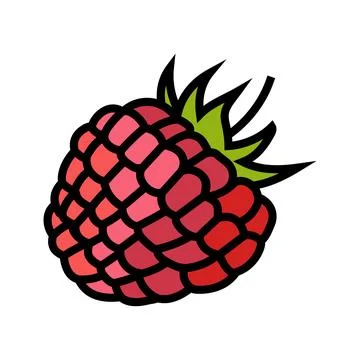 Raspberry berry leaf color icon vector illustration Stock Illustration