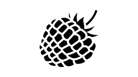 Raspberry berry leaf glyph icon animation Stock Footage 224878738