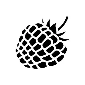 Raspberry berry leaf glyph icon vector illustration Stock Illustration