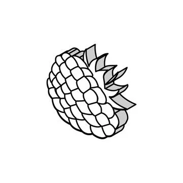 Raspberry berry leaf isometric icon vector illustration Stock Illustration