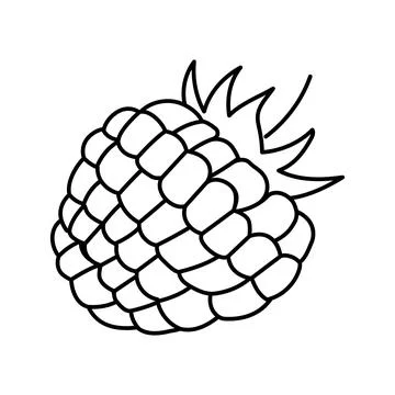 Raspberry berry leaf line icon vector illustration Stock Illustration