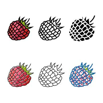 Raspberry berry leaf series color icon vector Stockillustratie