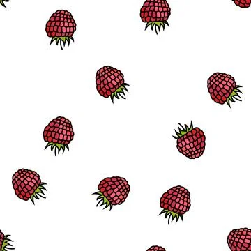 Raspberry berry leaf vector seamless pattern 库存插图