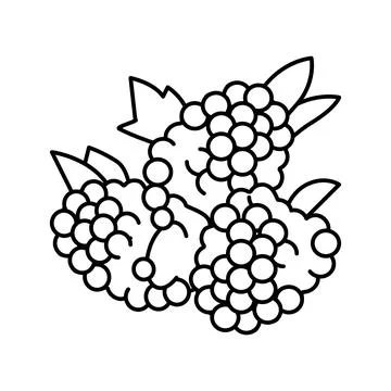 Raspberry berry line icon vector illustration Illustrazione stock