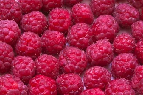 Raspberry  berry macro Stock Photos