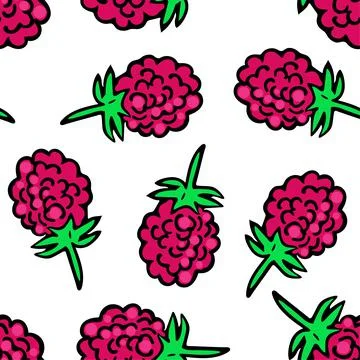 Raspberry berry pattern. Bright crimson color. Vector berries. Repeating cont Illustrazione stock