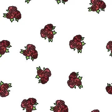 Raspberry berry vector seamless pattern Stock Illustration
