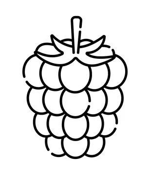 Raspberry black line icon Stock Illustration