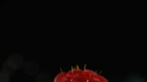 Raspberry Blackberry and Blueberry Stock Footage 101525624