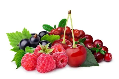 Raspberry, blackcurrant,cherry,lingonberry,cranberry Stock Photos