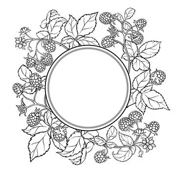 Raspberry Branch Outline Round Frame. Stock Illustration