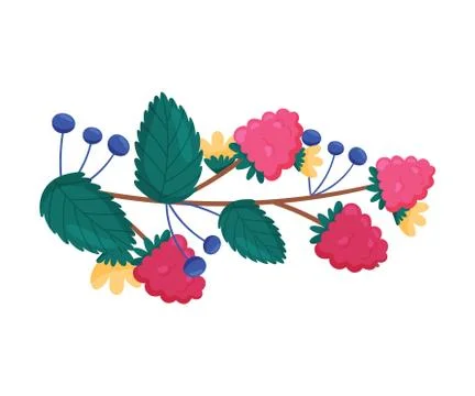 Raspberry Branch with Ripe Berries Hanging From It Vector Composition Stockillustratie