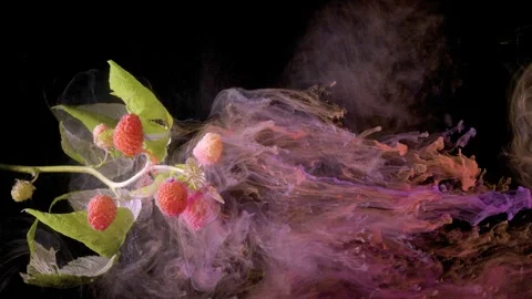 Raspberry branch with ripe berries wrapped in expanding pink and purple ink plum Stock Footage 339857749