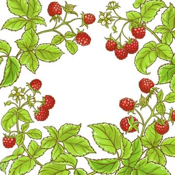Raspberry branch vector frame Stock Illustration