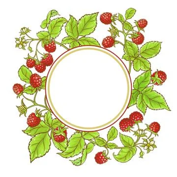Raspberry branch vector frame Stock Illustration