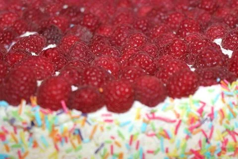 Raspberry cake Stock Photos
