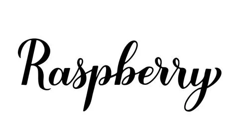 Raspberry calligraphy hand lettering isolated on white. Fresh summer berry. V Stock Illustration