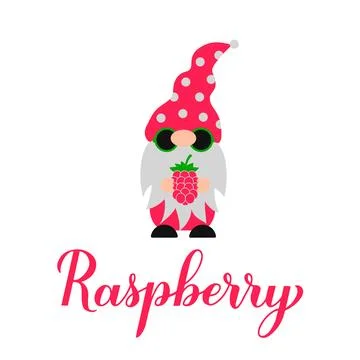 Raspberry calligraphy lettering with cute gnome holding berry. Vector templat Stock Illustration