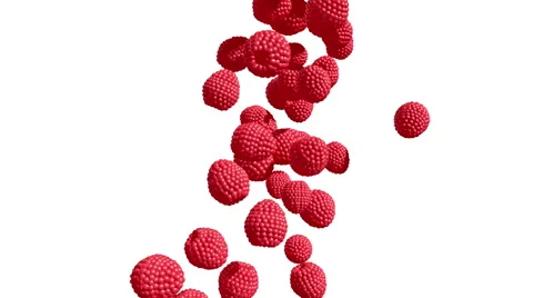 Raspberry Cascade Stock-Footage 43661800