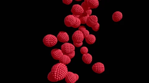 Raspberry Cascade Stock Footage 43662263