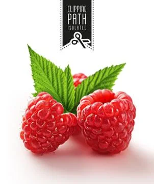 Raspberry with clipping path. Foto stock