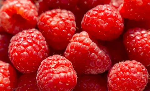 Raspberry close up background 写真素材