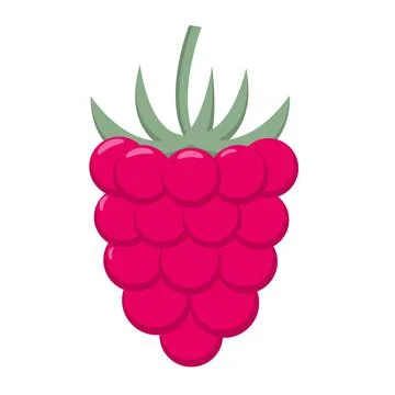 Raspberry close up isolated object. Stock Illustration