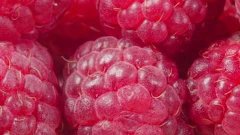 Raspberry close-up. Macro video . Lots of berries. 4K video. 動画素材 140634459