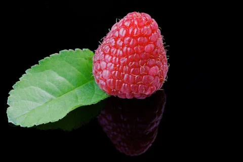 Raspberry close-up Stock Photos