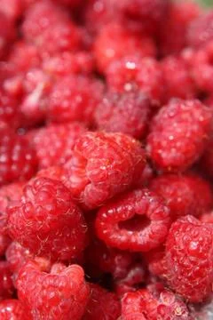Raspberry close up Stock Photos