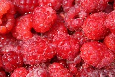 Raspberry close up Stock Photos