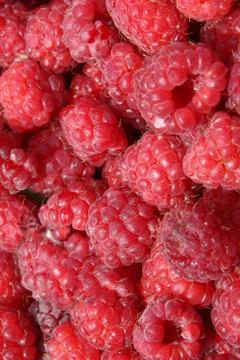 Raspberry close up Stock Photos