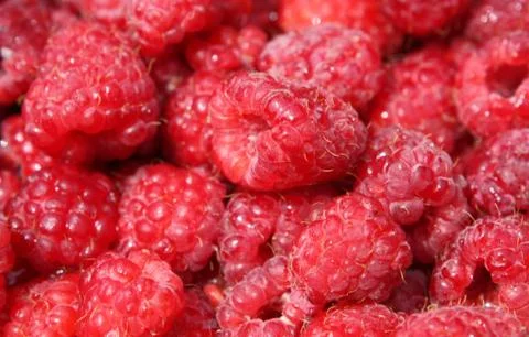 Raspberry close up Fotos Stock