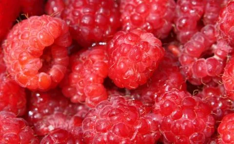 Raspberry close up Stock Photos