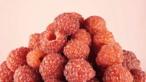 Raspberry close-up rotate in front of the camera. Pink isolated background Stock Footage 112643954