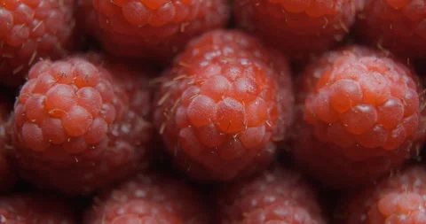 Raspberry close up studio shot over rotating Stock-Footage 324842494
